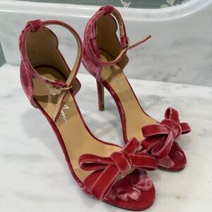 Isa Tapia Shelby Rumba Velvet 36